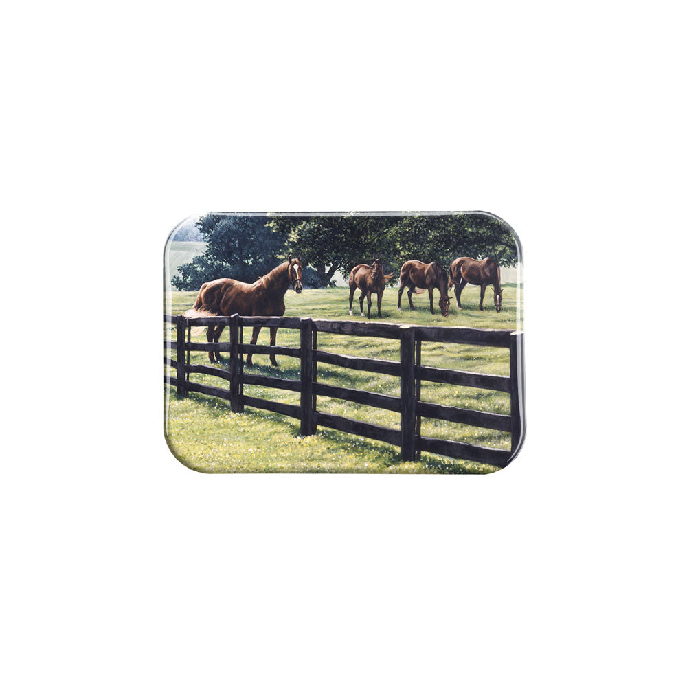 "Kentucky Quintet" - 2.5" X 3.5" Rectangle Fridge Magnets