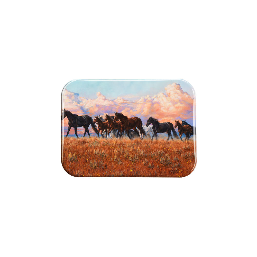 "Painted Sunset" - 2.5" X 3.5" Rectangle Fridge Magnets