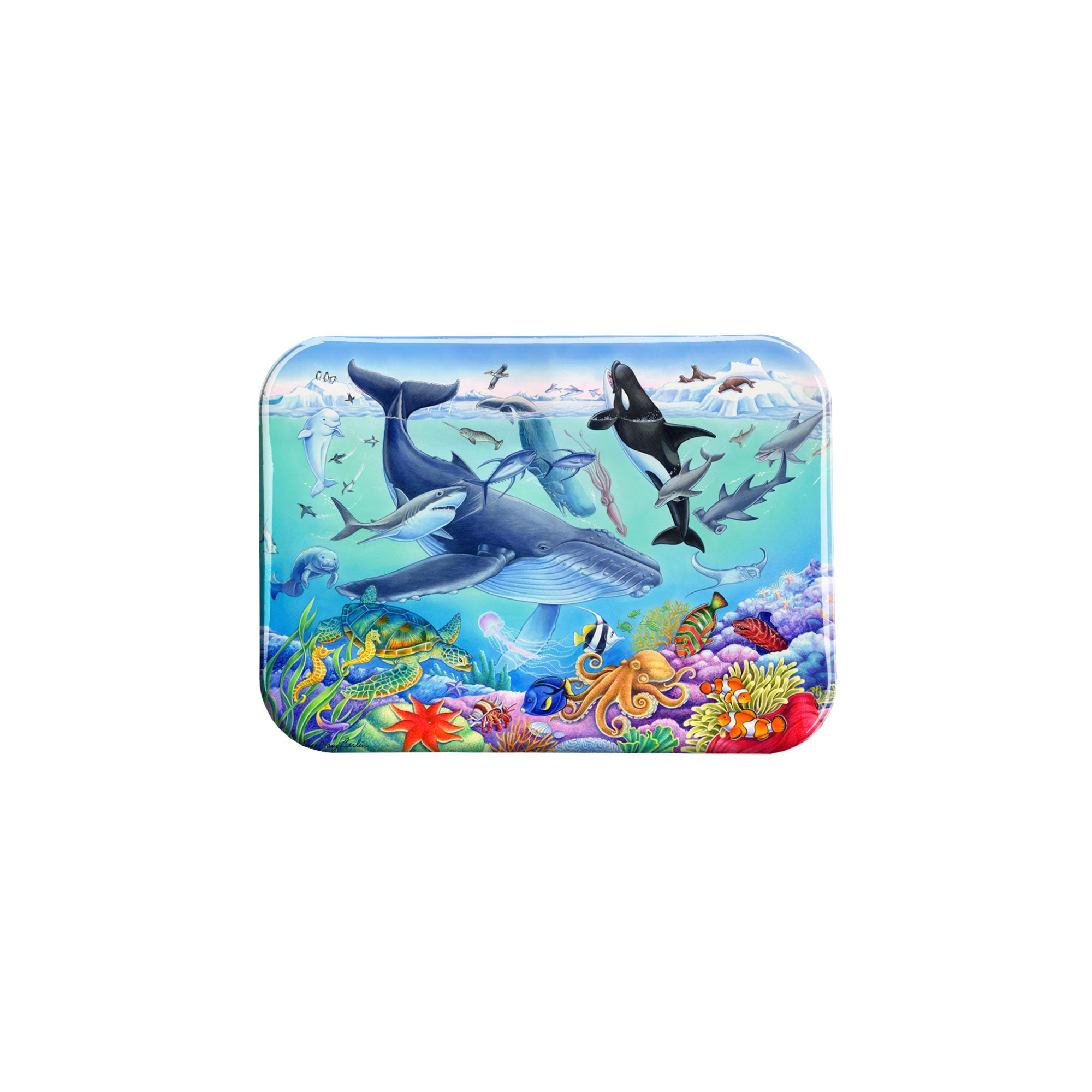 "Under the Sea" - 2.5" X 3.5" Rectangle Fridge Magnets