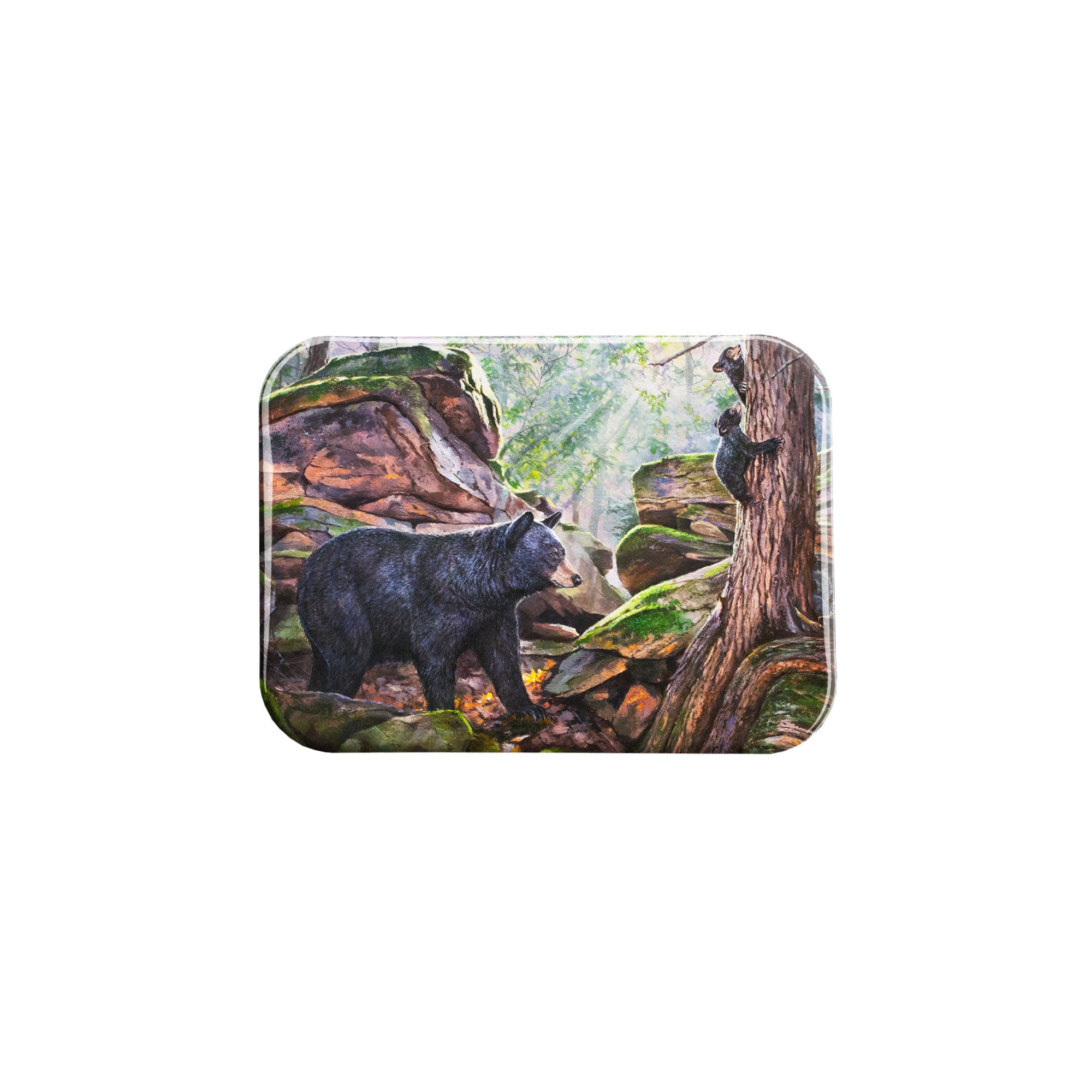 "Cook Forest Bears" - 2.5" X 3.5" Rectangle Fridge Magnets