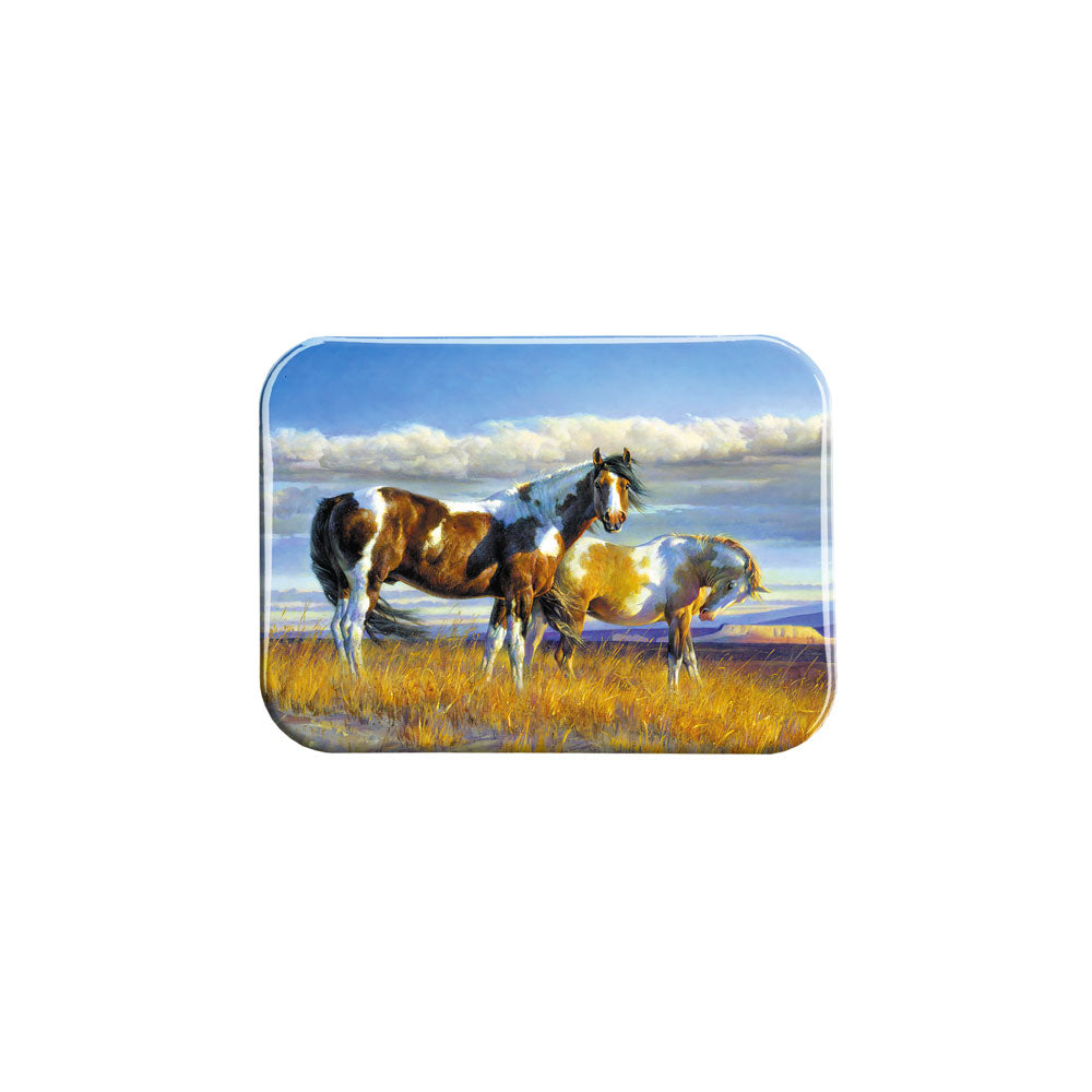 "The Painted Desert" - 2.5" X 3.5" Rectangle Fridge Magnets