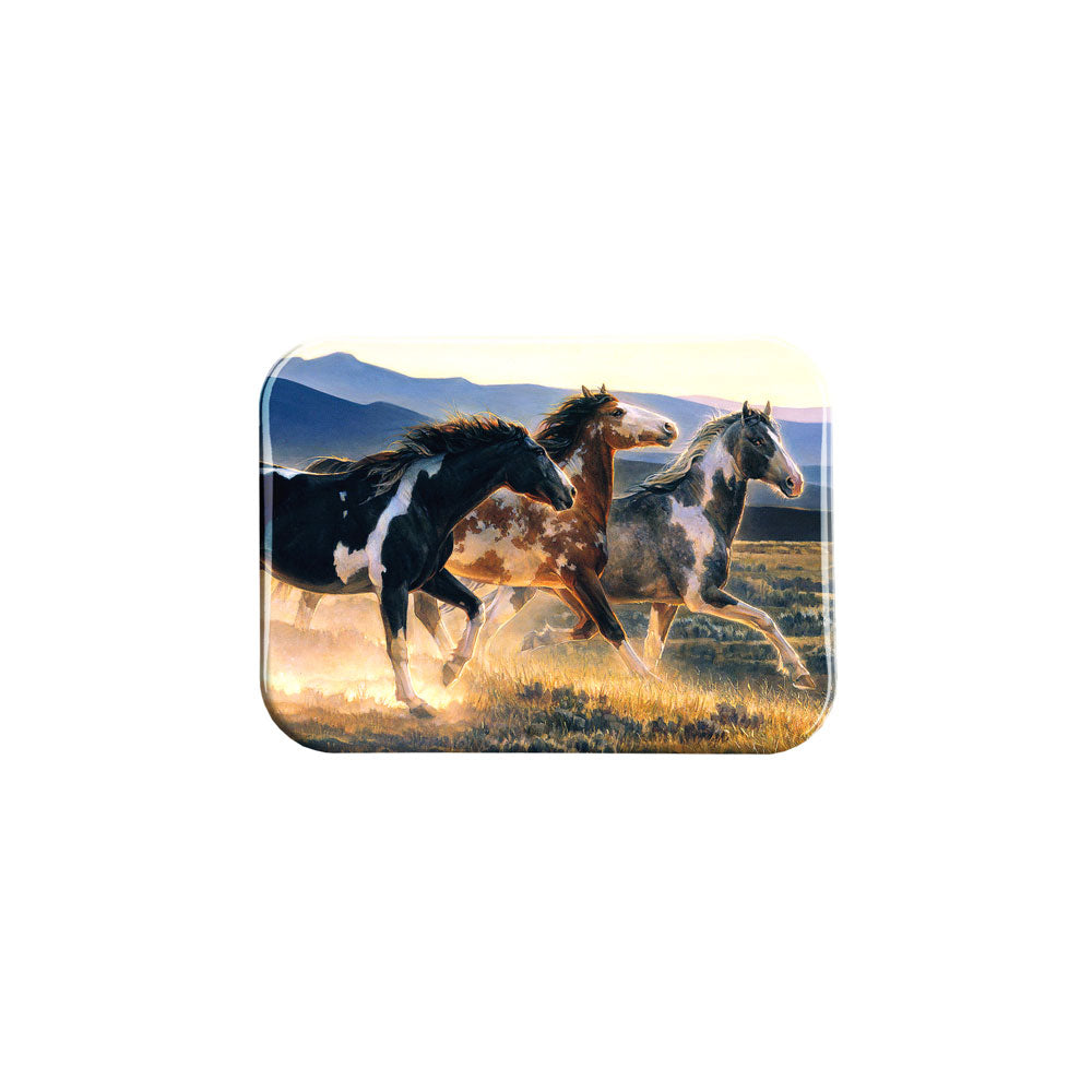 "Three Amigos" - 2.5" X 3.5" Rectangle Fridge Magnets