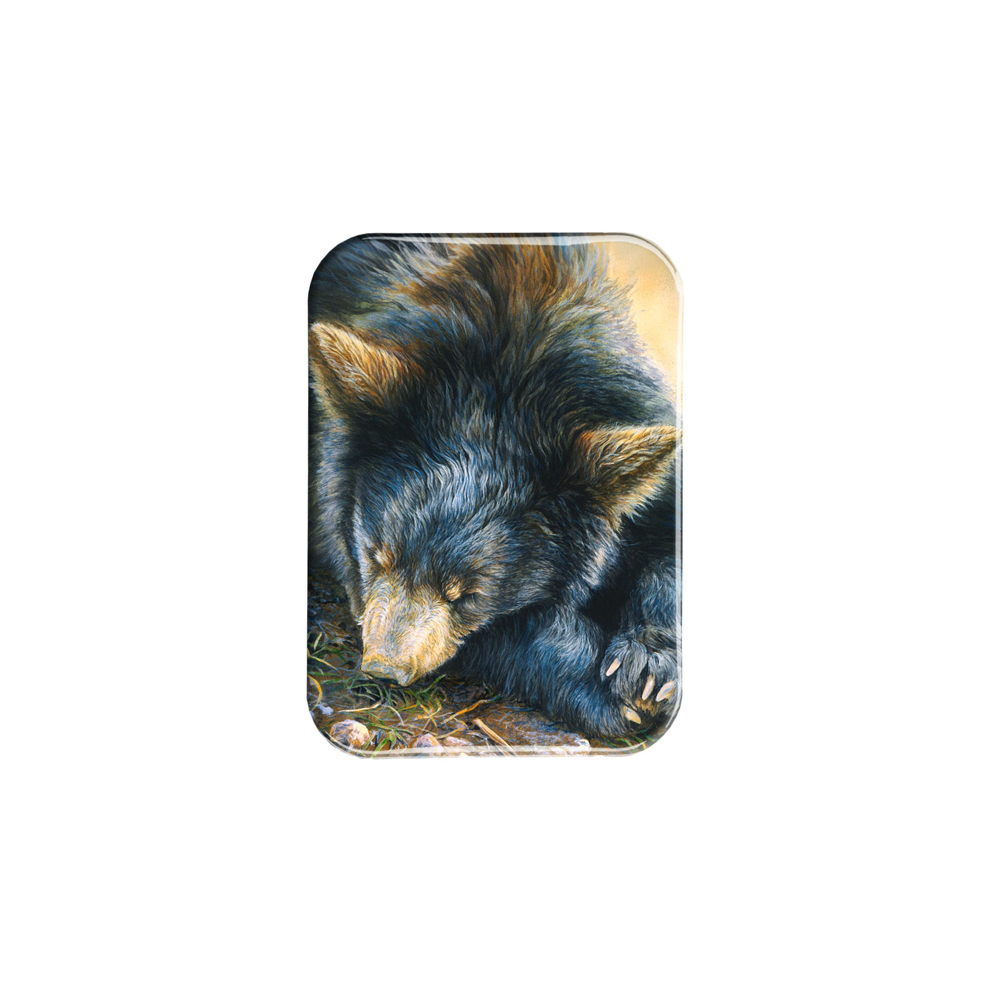 "Sleepy Black Bear" - 2.5" X 3.5" Rectangle Fridge Magnets