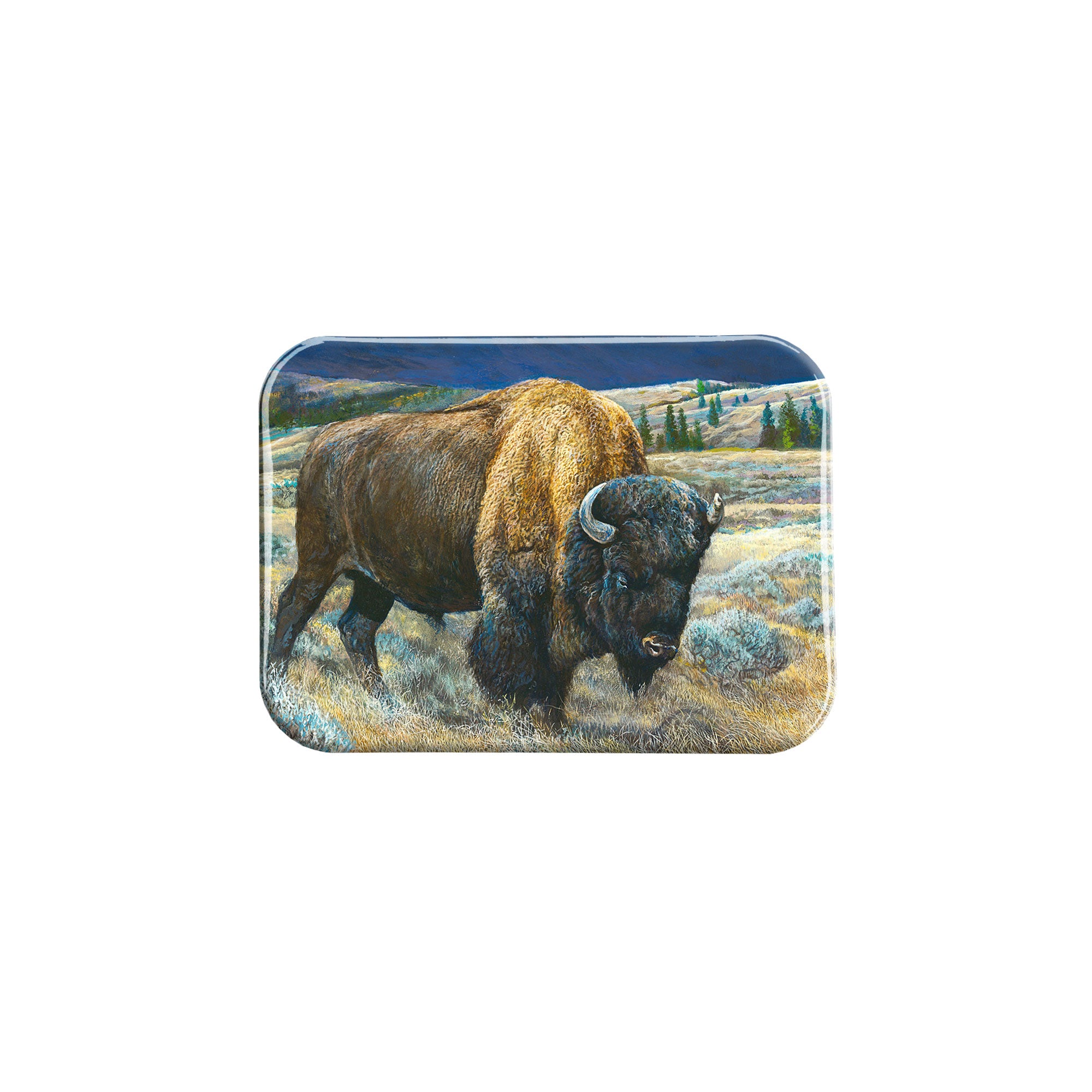 "Buffalo 3" - 2.5" X 3.5" Rectangle Fridge Magnets