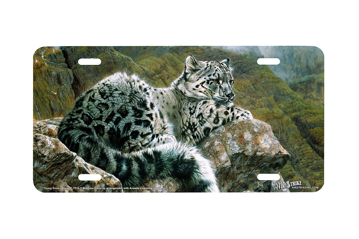 "Young Snow Leopard" - Decorative License Plate