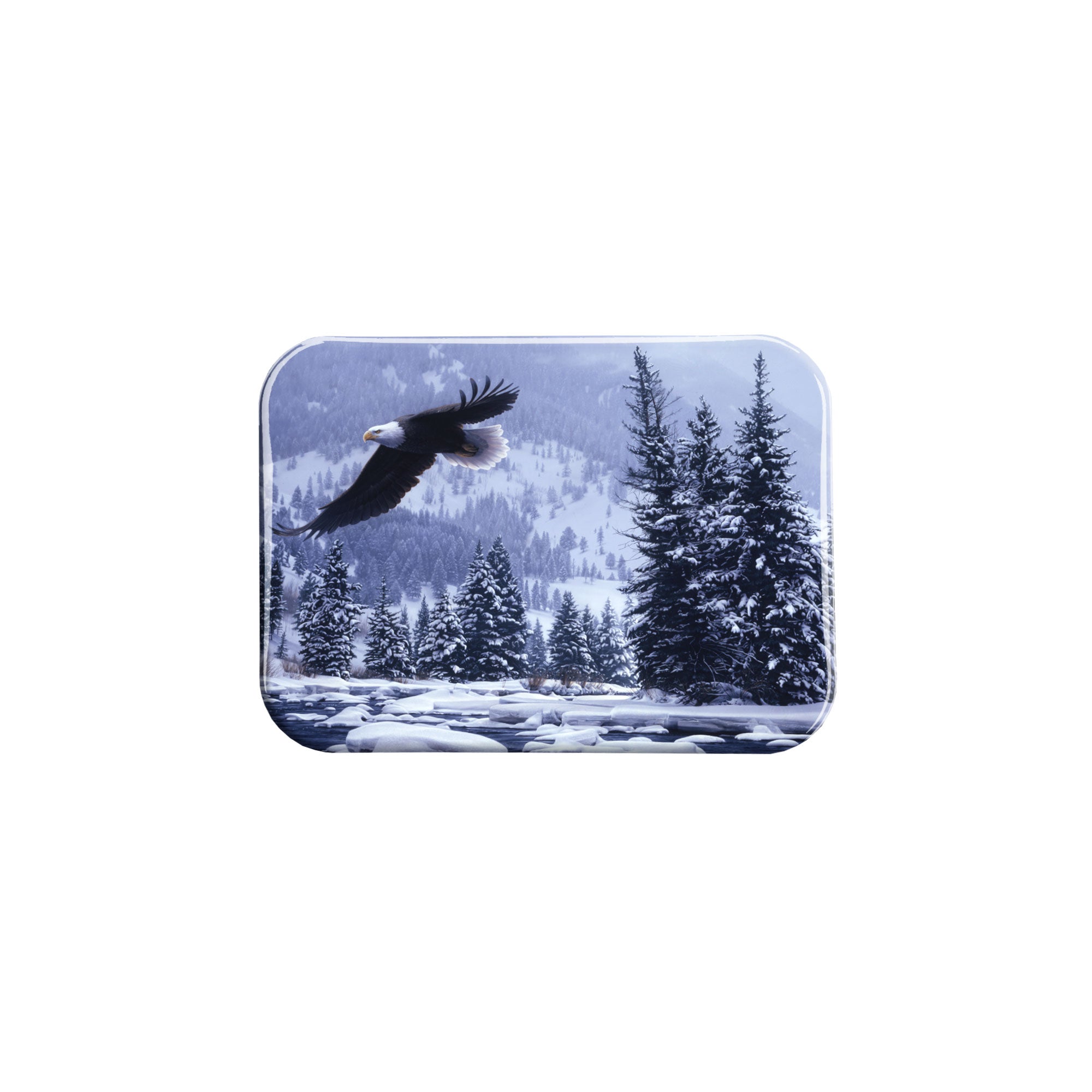 "Free Flight" - 2.5" X 3.5" Rectangle Fridge Magnets