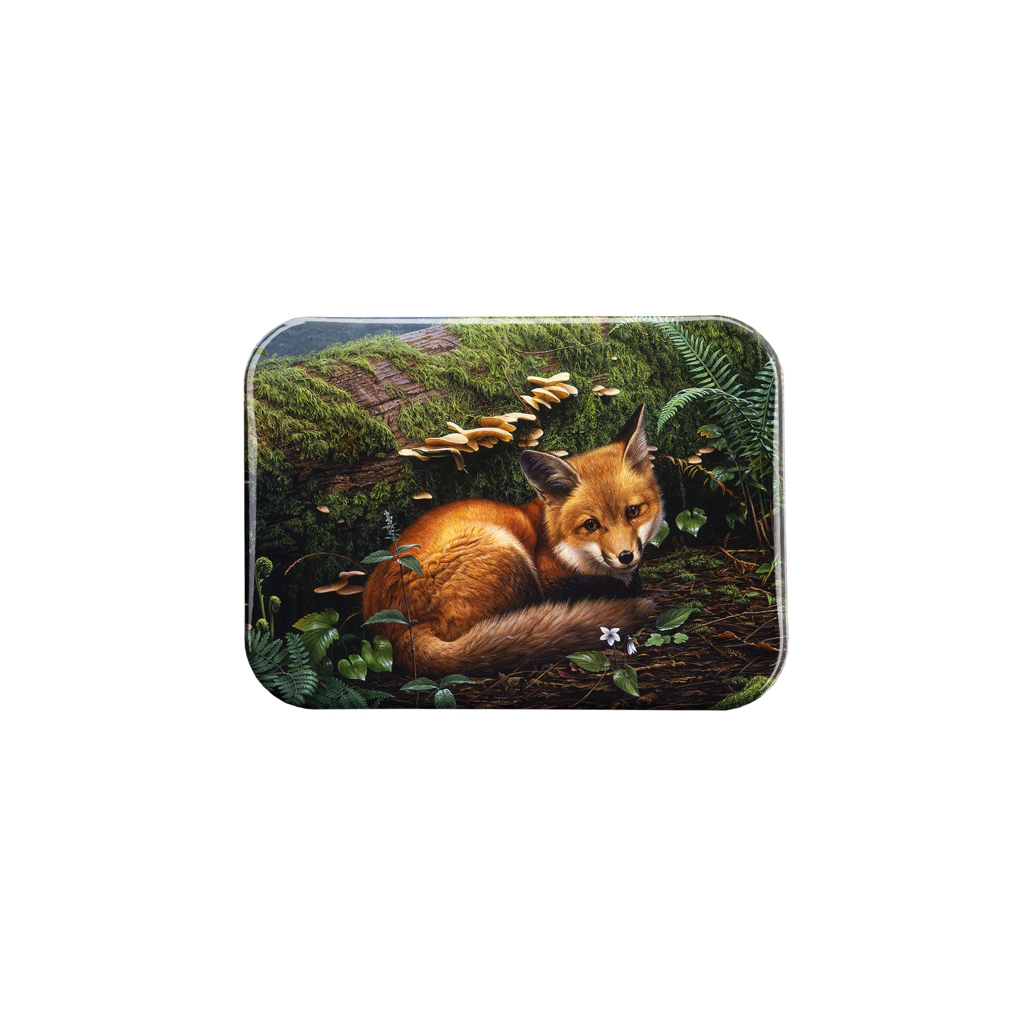 "Forest Floor " - 2.5" X 3.5" Rectangle Fridge Magnets