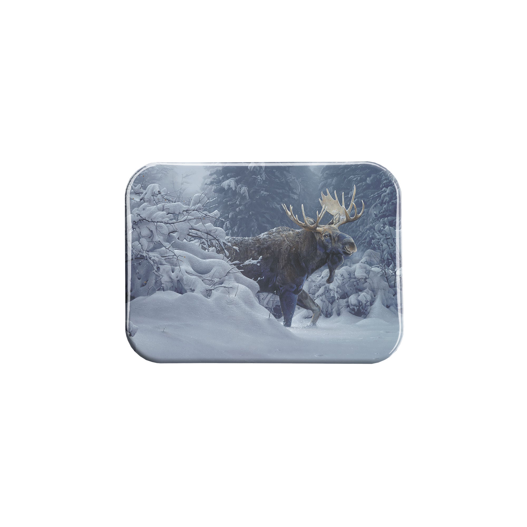 "Winter s Shroud" - 2.5" X 3.5" Rectangle Fridge Magnets