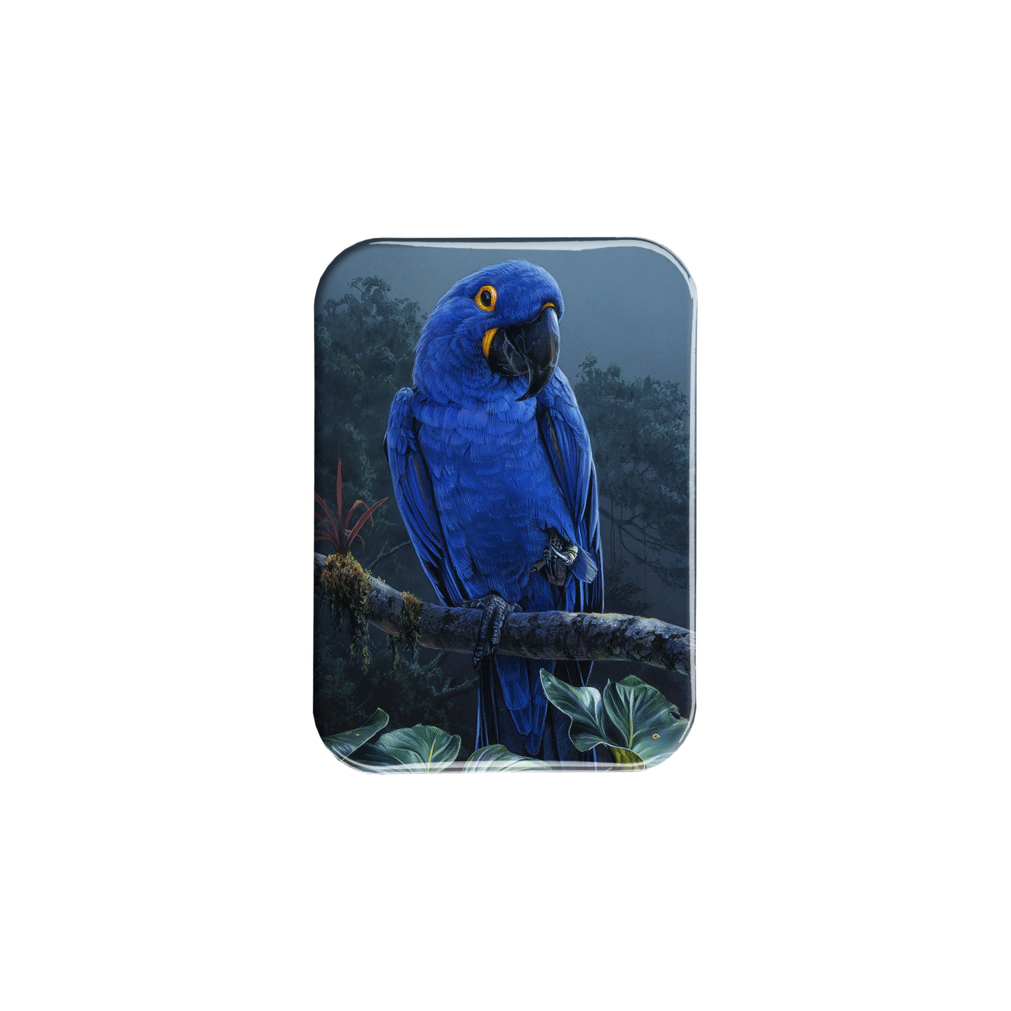 "Blue Parrot" - 2.5" X 3.5" Rectangle Fridge Magnets