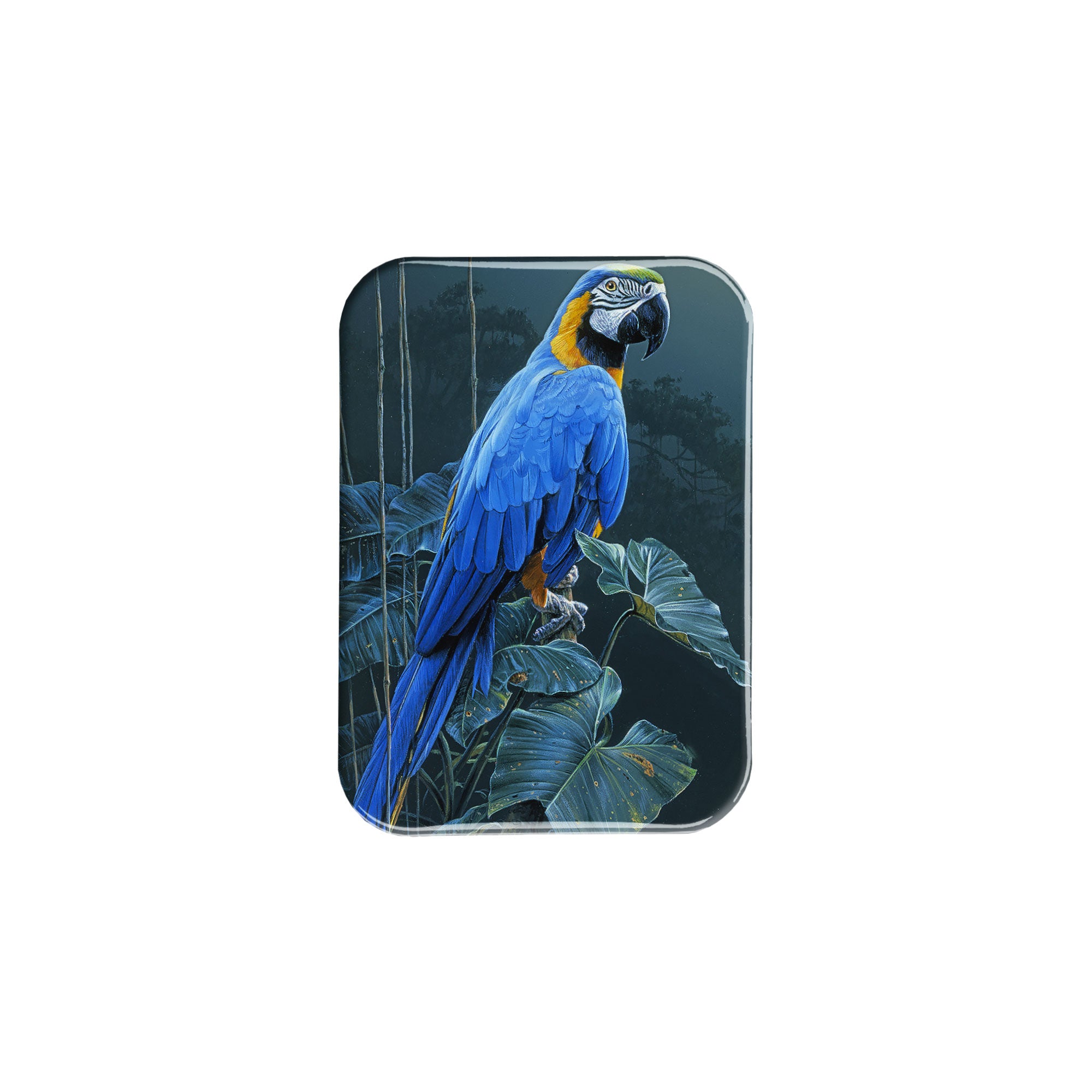 "Blue and Gold Macaw" - 2.5" X 3.5" Rectangle Fridge Magnets