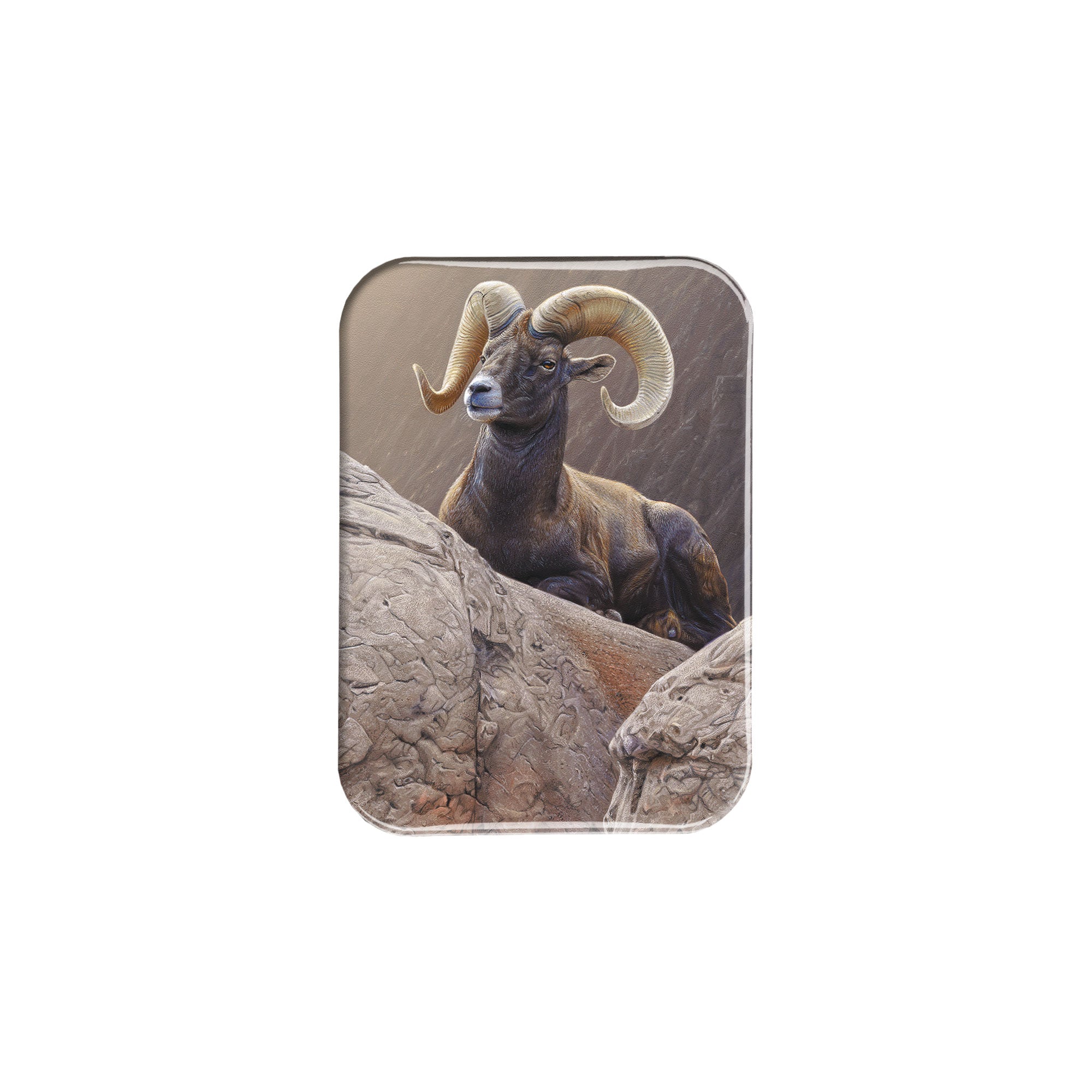 "Desert Denizen" - 2.5" X 3.5" Rectangle Fridge Magnets