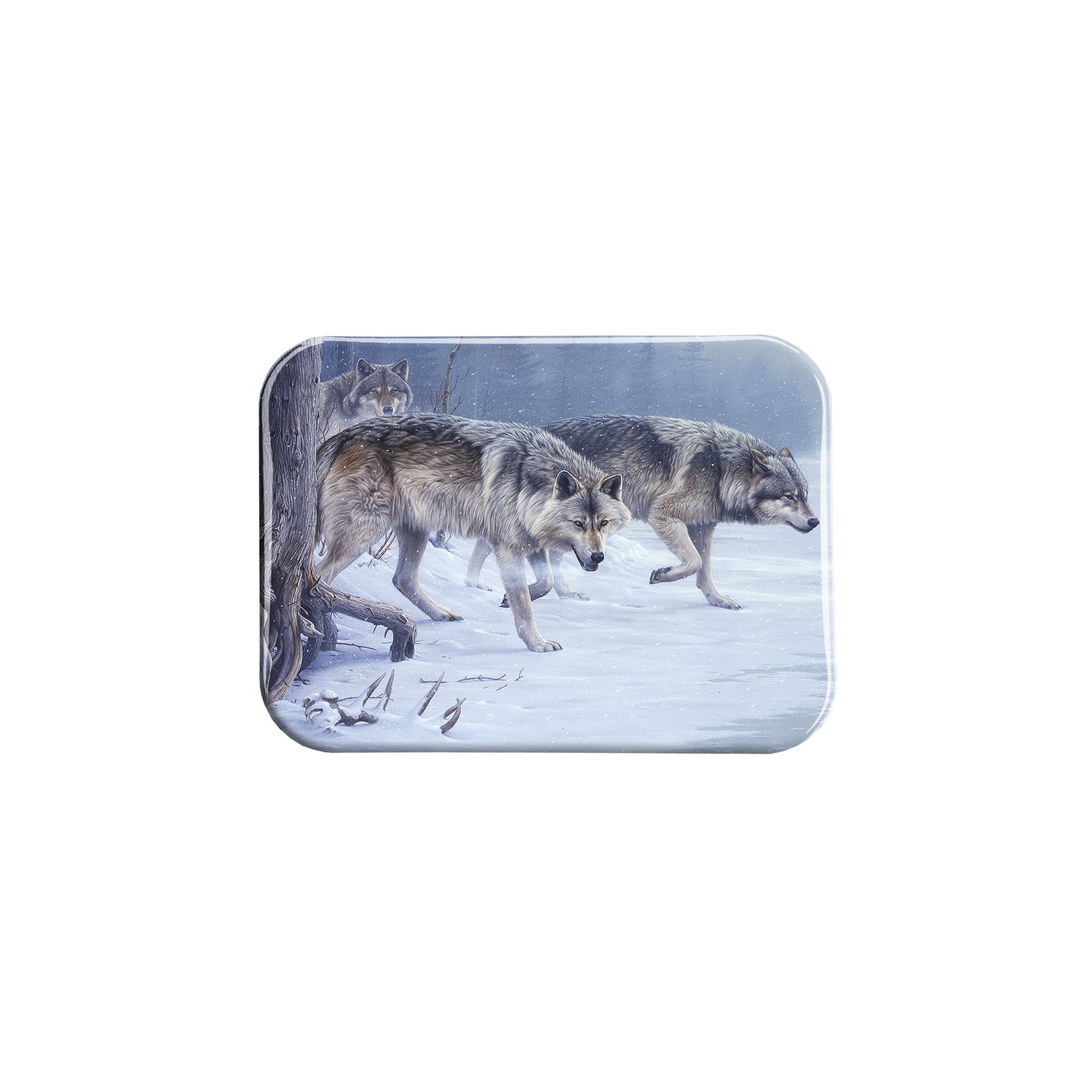 "Eyes of the North" - 2.5" X 3.5" Rectangle Fridge Magnets