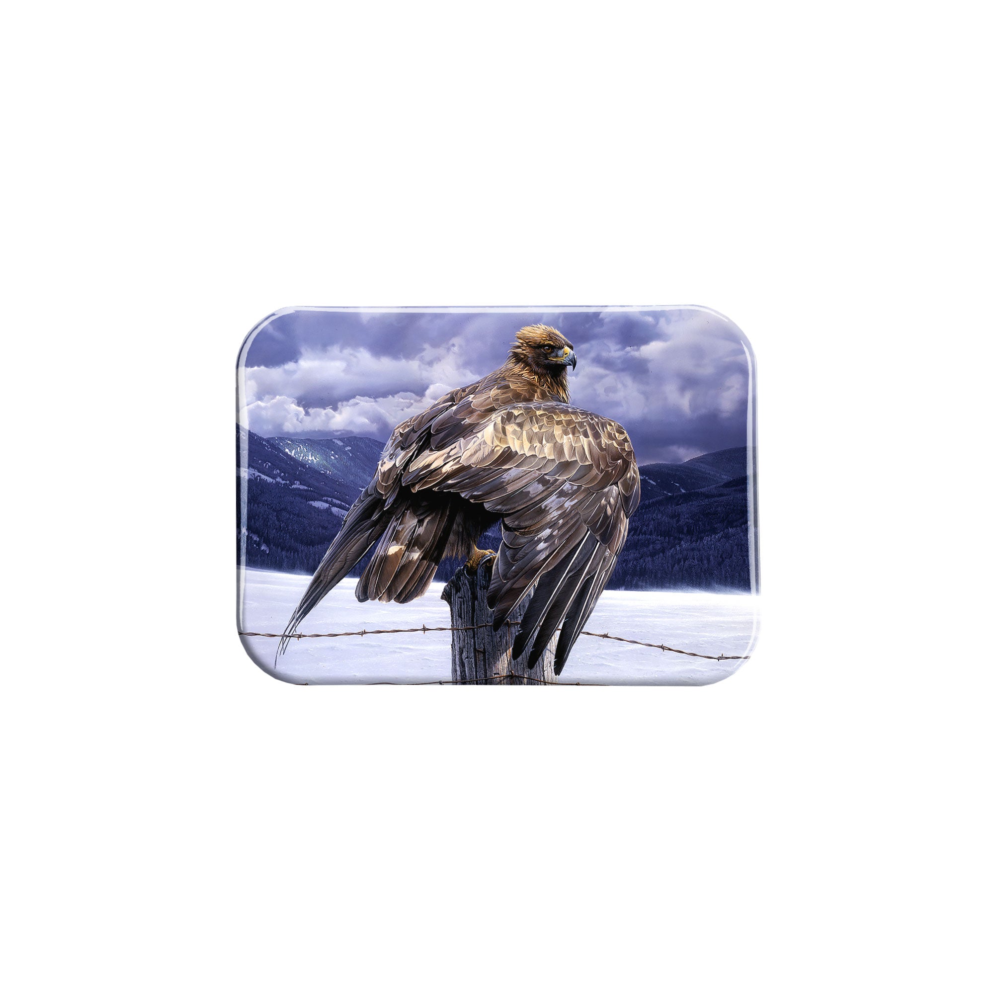 "Wings of Gold" - 2.5" X 3.5" Rectangle Fridge Magnets