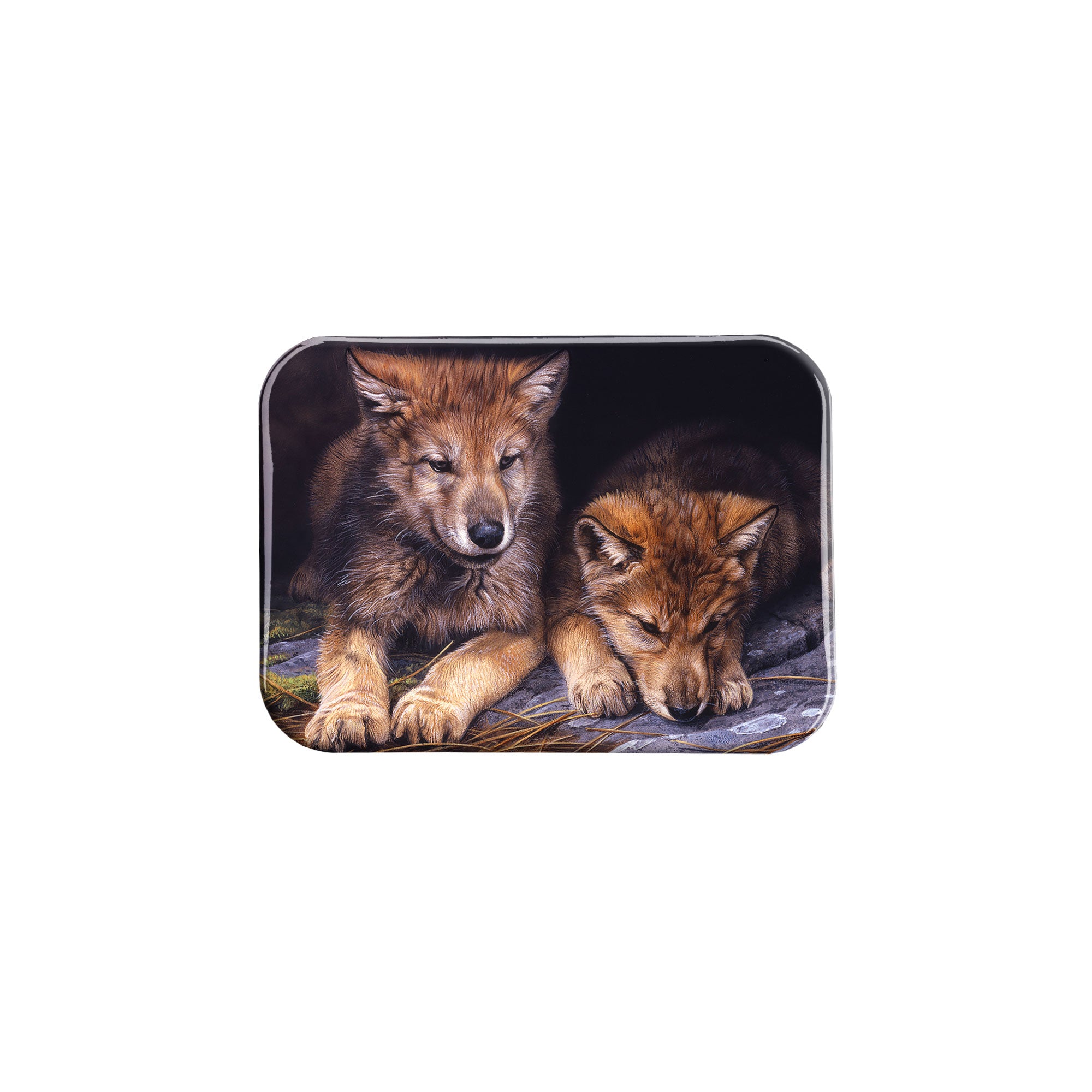 "Wolf Cubs" - 2.5" X 3.5" Rectangle Fridge Magnets