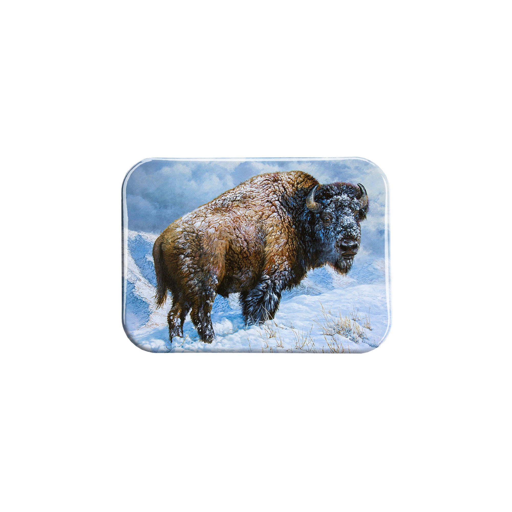 "Relentless Winter" - 2.5" X 3.5" Rectangle Fridge Magnets