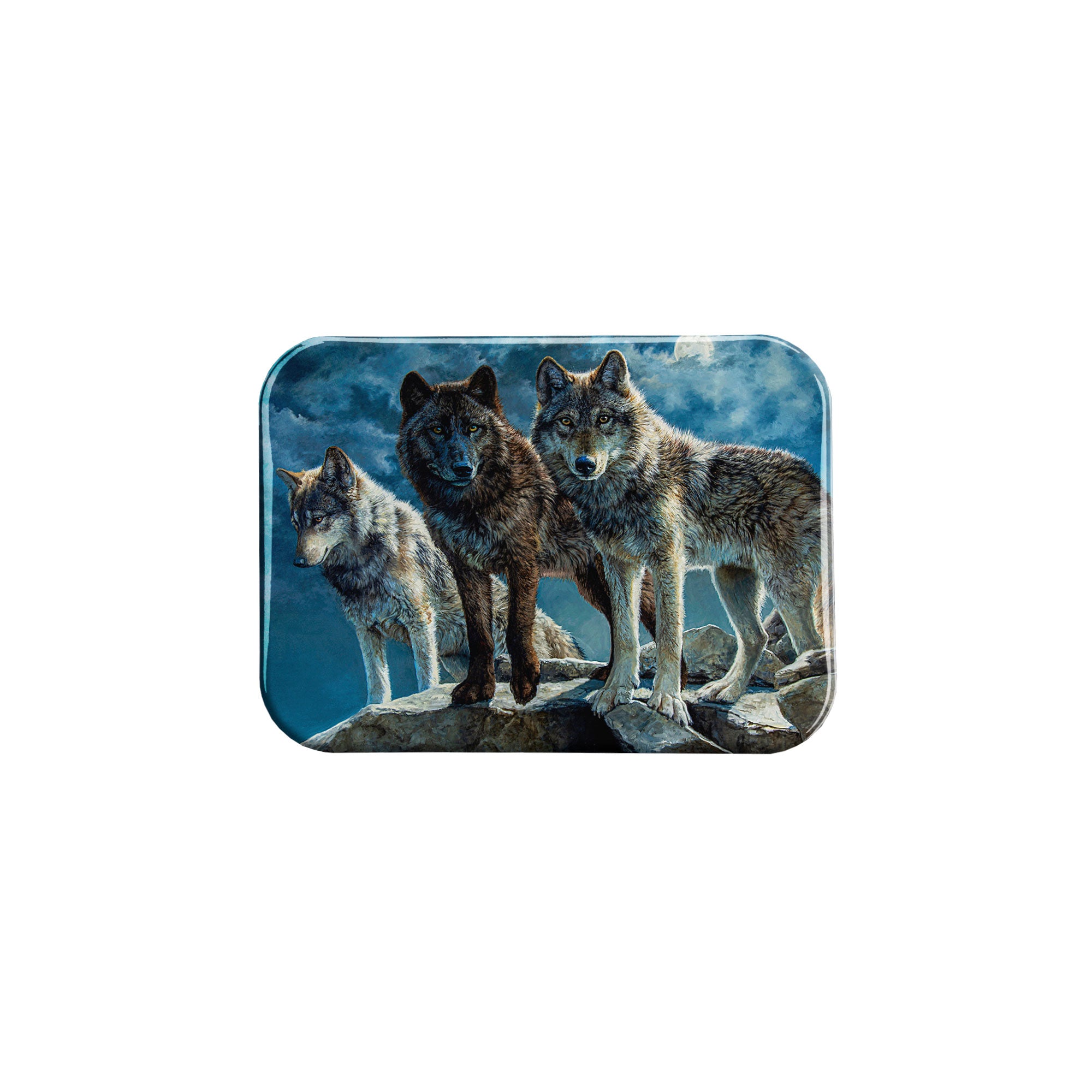 "Nightwatch" - 2.5" X 3.5" Rectangle Fridge Magnets