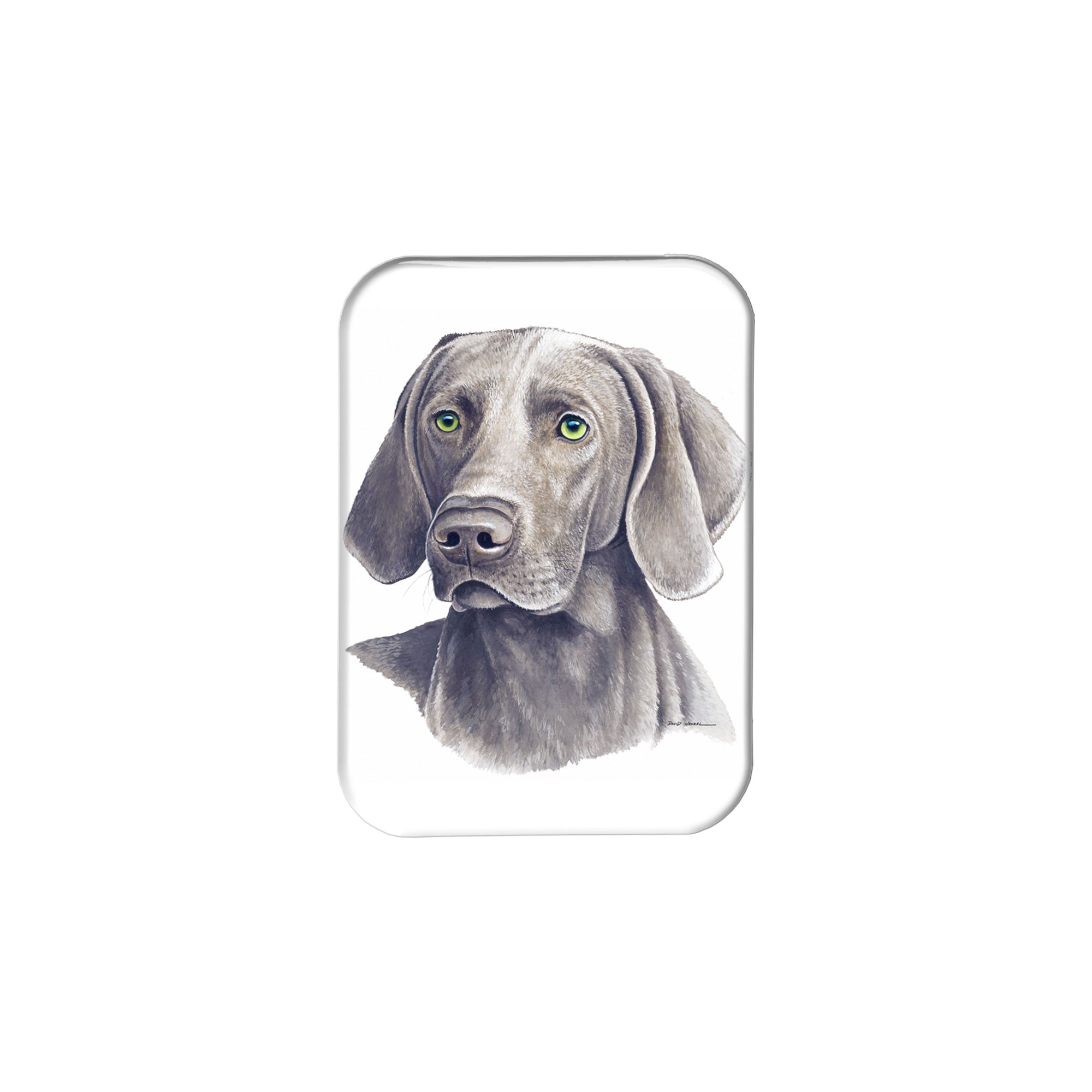 "Weimaraner" - 2.5" X 3.5" Rectangle Fridge Magnets