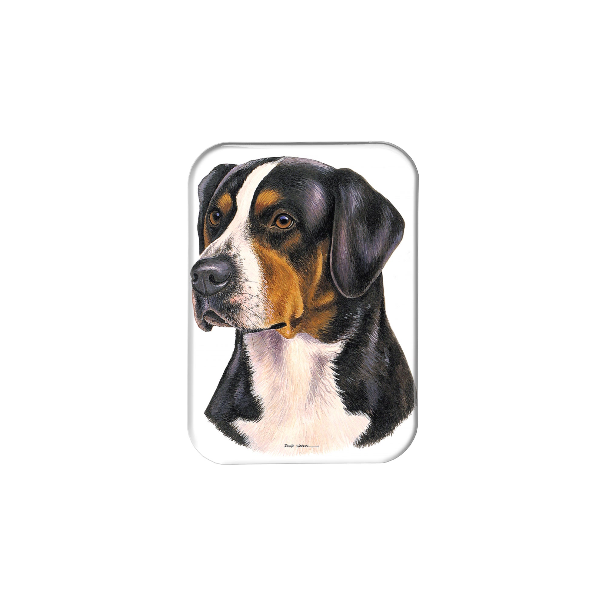 "Swiss Mountain Dog" - 2.5" X 3.5" Rectangle Fridge Magnets