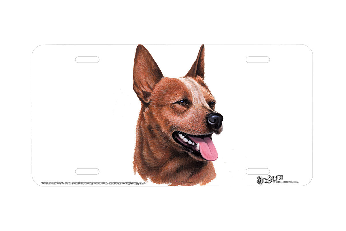 "Red Heeler" - Decorative License Plate