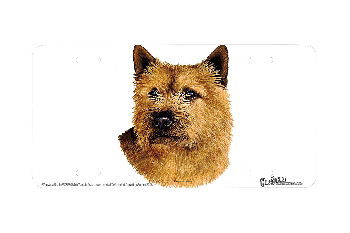 "Norwich Terrier" - Decorative License Plate