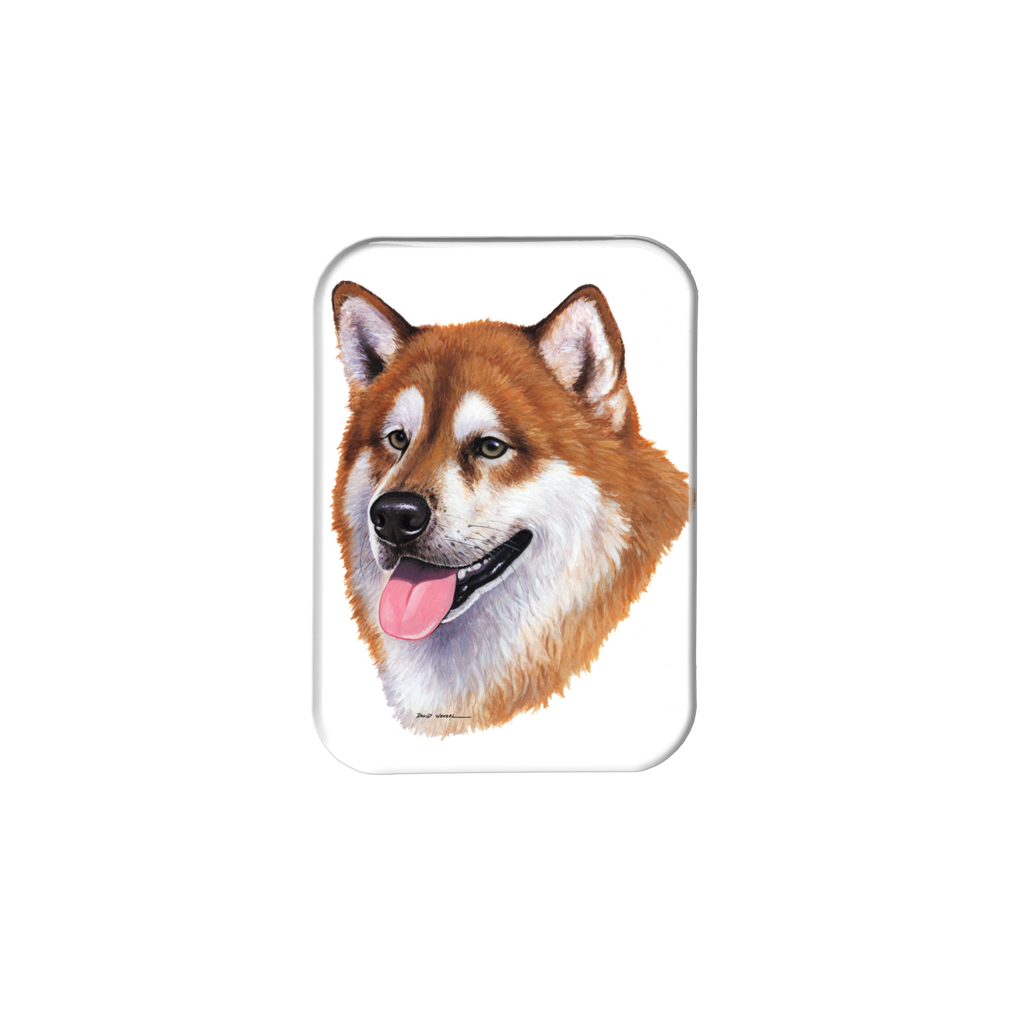 "Gold Malamute" - 2.5" X 3.5" Rectangle Fridge Magnets