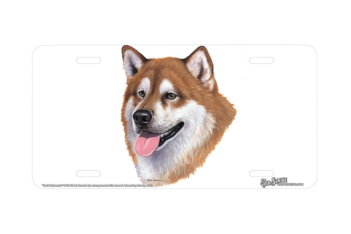 "Gold Malamute" - Decorative License Plate