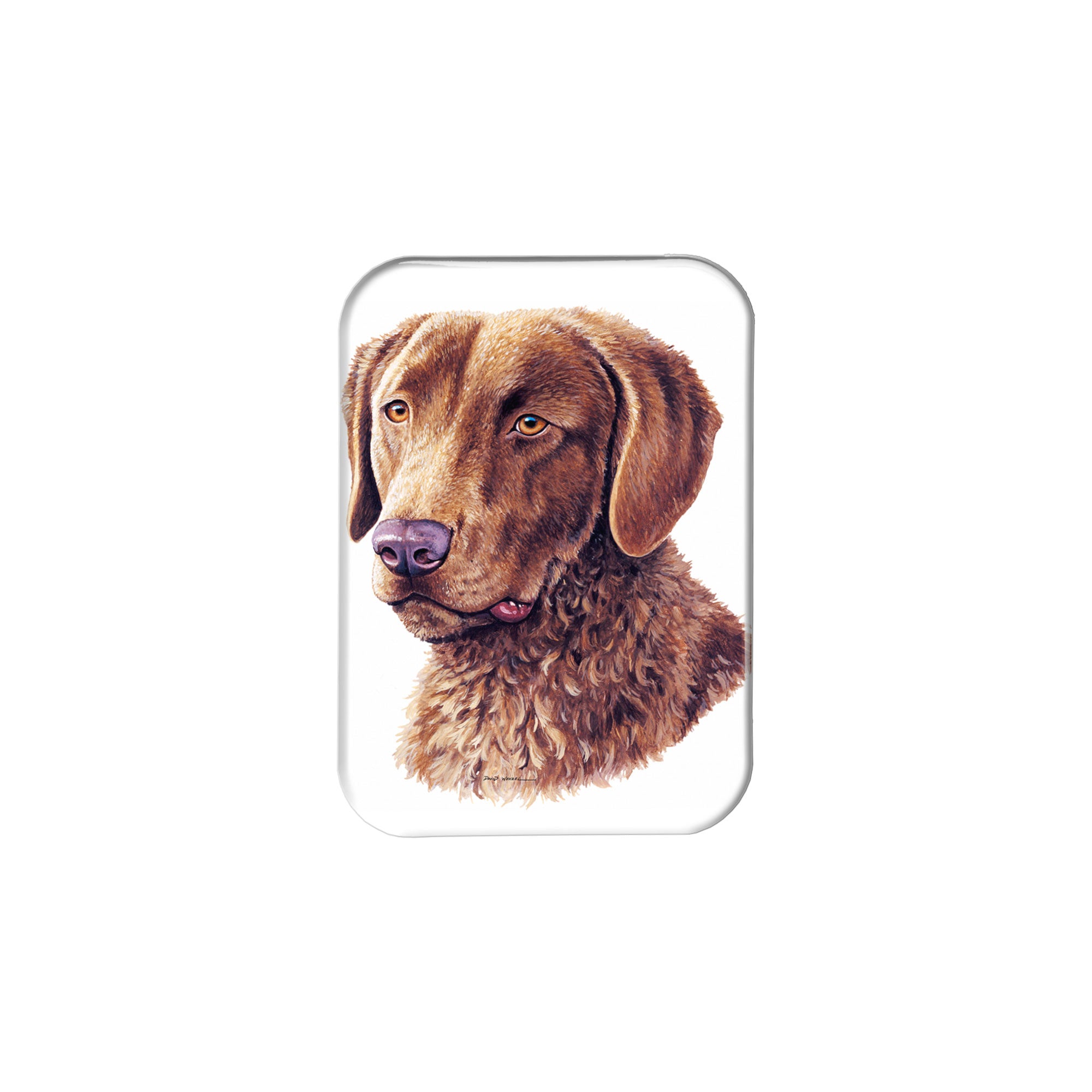 "Chesapeake Bay Retriever" - 2.5" X 3.5" Rectangle Fridge Magnets