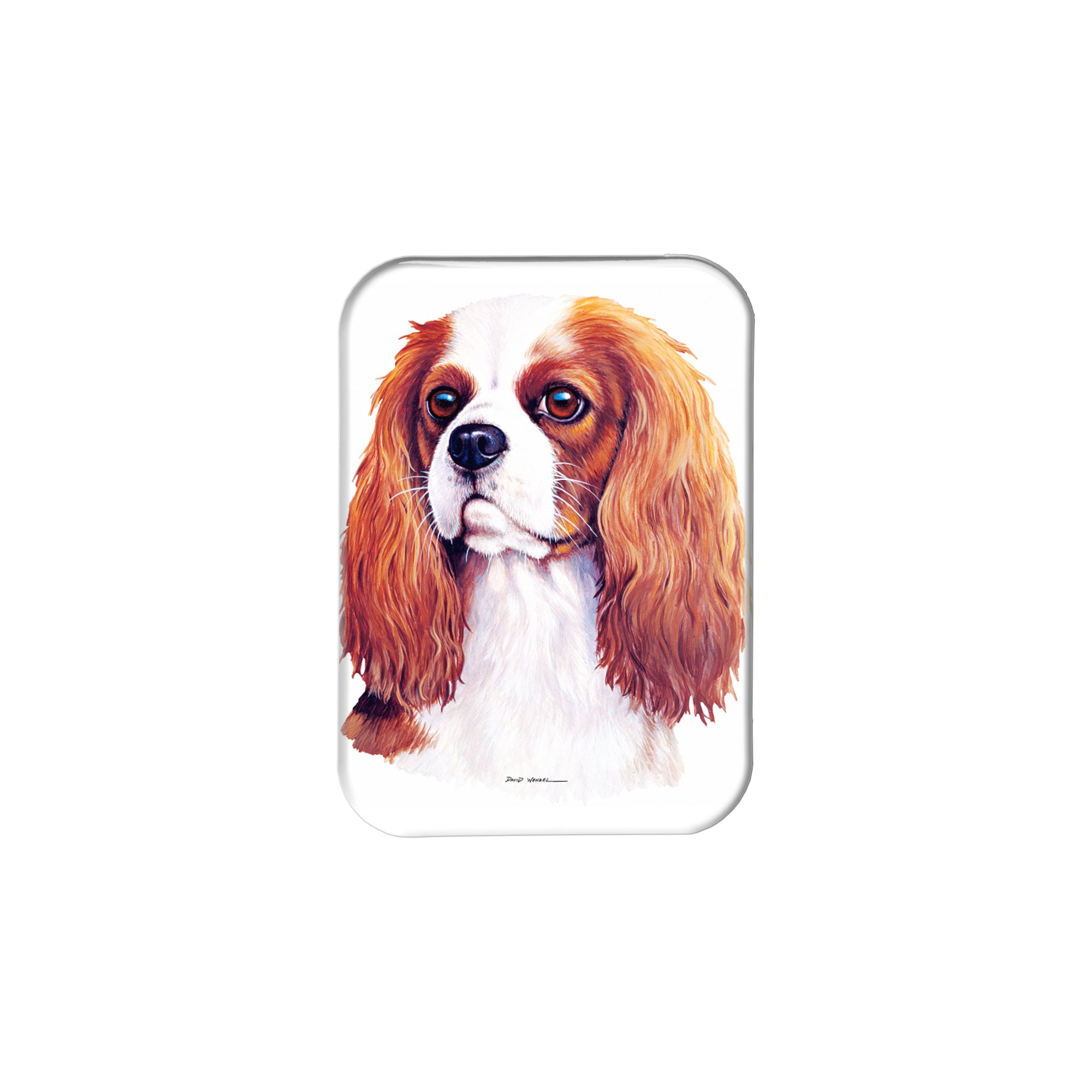 "Cavalier King Charles Spaniel" - 2.5" X 3.5" Rectangle Fridge Magnets