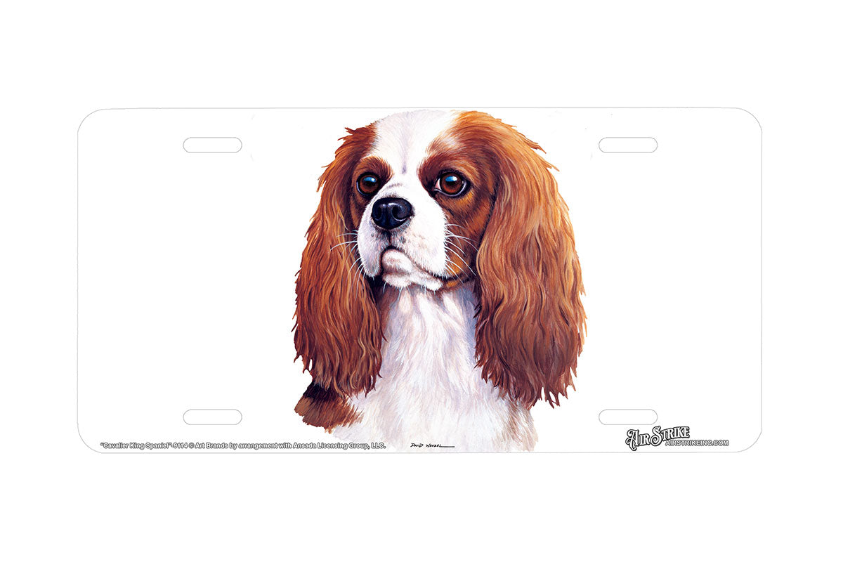 "Cavalier King Charles Spaniel" - Decorative License Plate