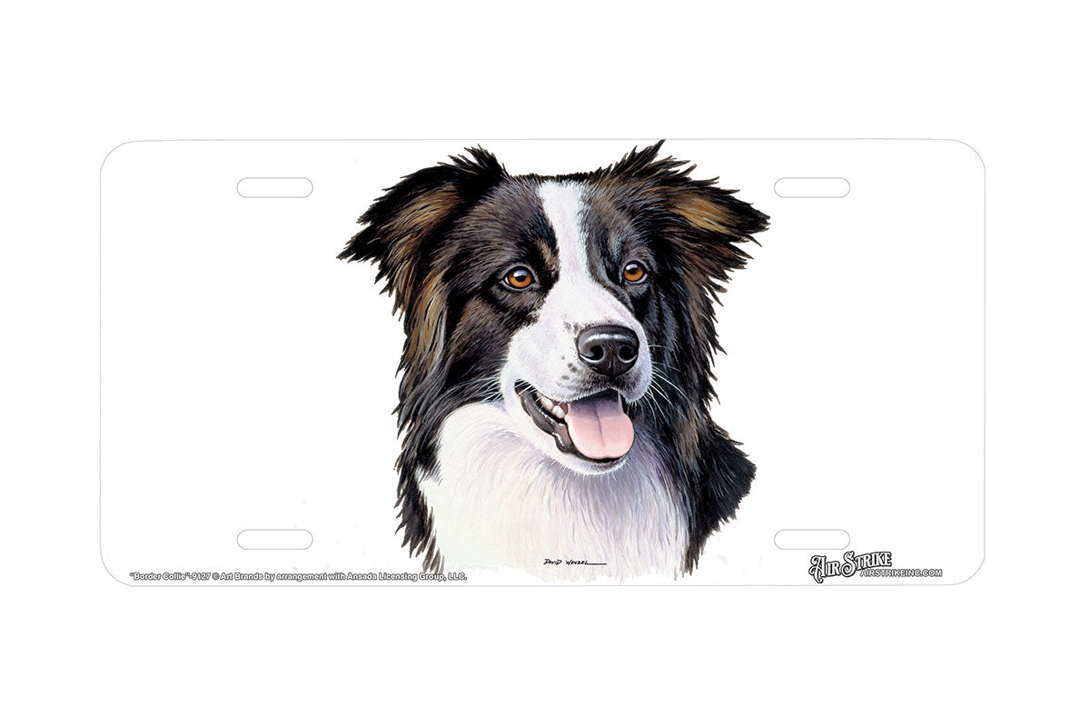 "Border Collie" - Decorative License Plate