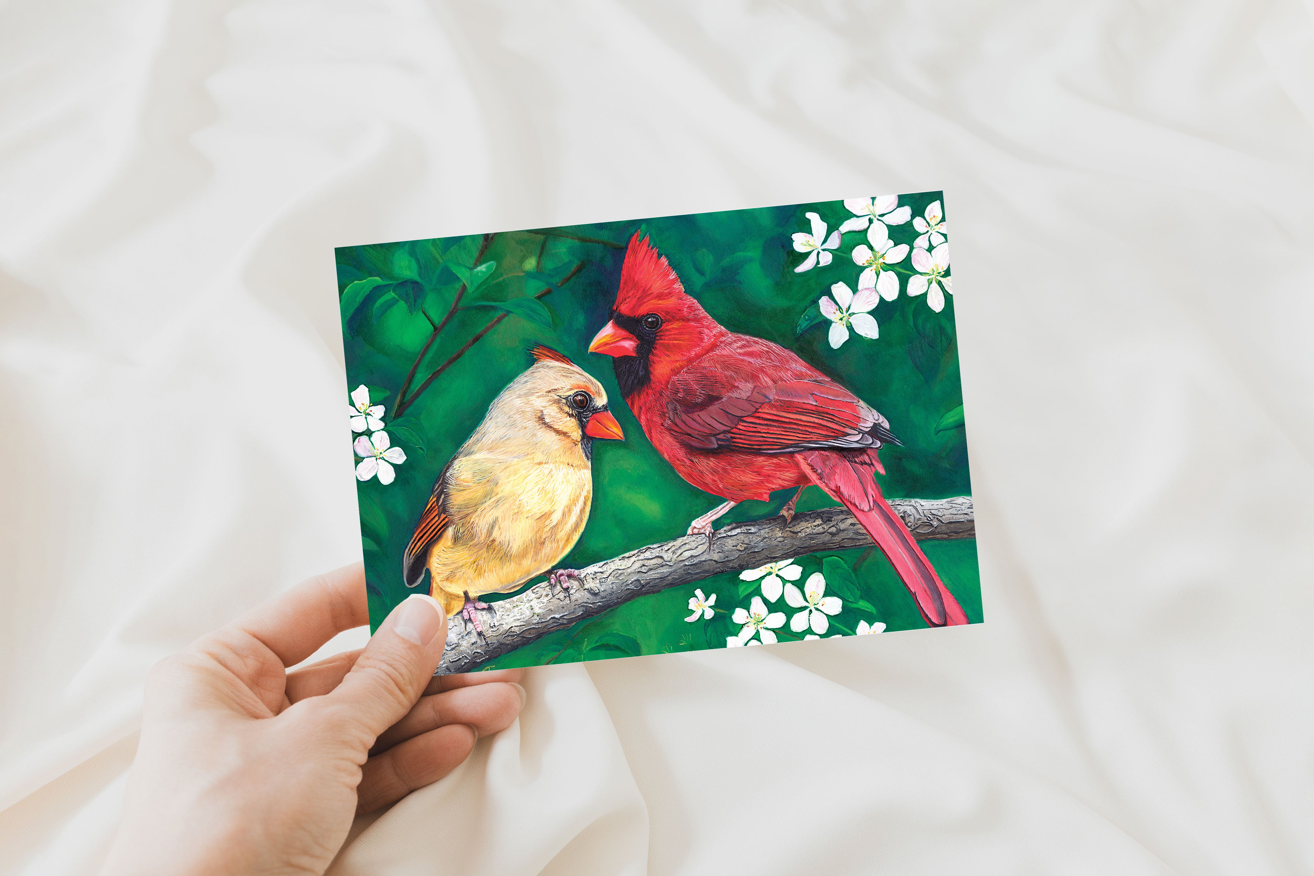 Christmas Cards: Apple Blossom Romance